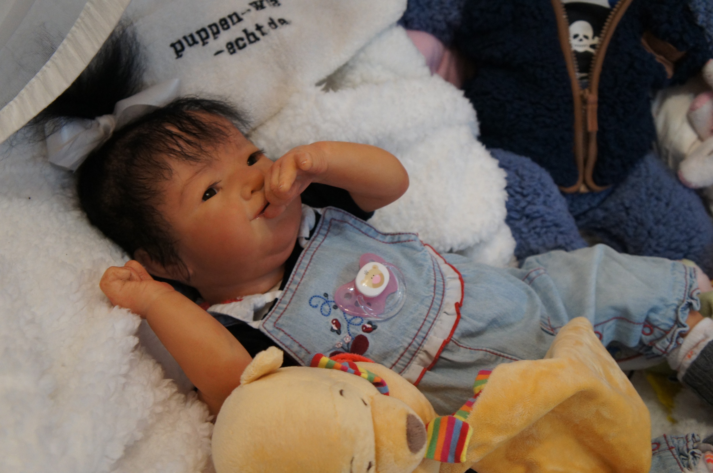 DSC03456.JPG